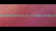 幼犬哺乳期持续哭叫怎么办5大原因与科学应对指南
