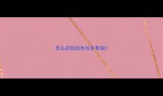 怎么识别拉布拉多骨架