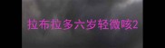 拉布拉多六岁轻微咳