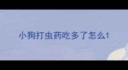 小狗打虫药吃多了怎么