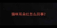 猫咪耳朵红怎么回事