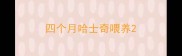 四个月哈士奇喂养