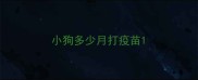 小狗多少月打疫苗