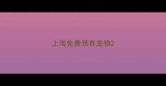 上海免费领养宠物