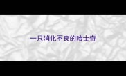 一只消化不良的哈士奇