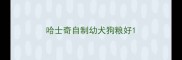 哈士奇自制幼犬狗粮好