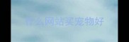 什么网站买宠物好