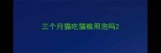 三个月猫吃猫粮用泡吗