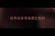 拉布拉多耳垢是红色的
