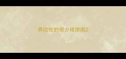 养边牧的很少啥原因
