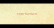 狗狗打完狂犬疫苗流程