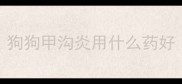 狗狗甲沟炎用什么药好