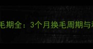 小高加索犬换毛期全3个月换毛周期与科学护理指南