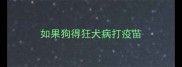 如果狗得狂犬病打疫苗