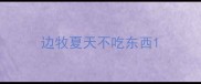 边牧夏天不吃东西