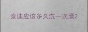 泰迪应该多久洗一次澡