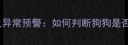 泰迪犬体温标准及异常预警如何判断狗狗是否发烧并科学养护