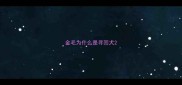 金毛为什么是寻回犬