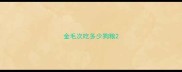 金毛次吃多少狗粮