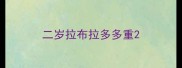 二岁拉布拉多多重