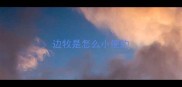 边牧是怎么小便的