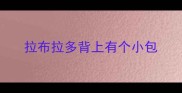 拉布拉多背上有个小包