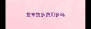拉布拉多费用多吗