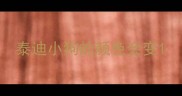 泰迪小狗的颜色会变