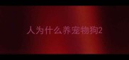 人为什么养宠物狗