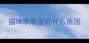 猫咪眼眶发红什么原因