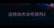 边牧幼犬会吃纸吗