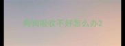 狗狗吸收不好怎么办