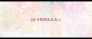 2个月狗狗怎么去火