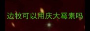 边牧可以用庆大霉素吗