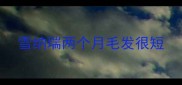 雪纳瑞两个月毛发很短