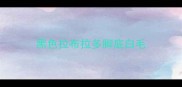 黑色拉布拉多脚底白毛