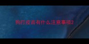 狗打疫苗有什么注意事项