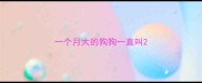 一个月大的狗狗一直叫