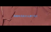 狗狗吹风机什么牌子好