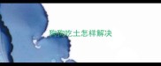 狗狗吃土怎样解决