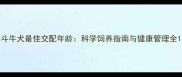 斗牛犬最佳交配年龄科学饲养指南与健康管理全