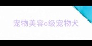 宠物美容c级宠物犬