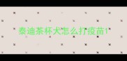 泰迪茶杯犬怎么打疫苗