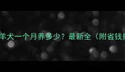 边境牧羊犬一个月养多少最新全附省钱指南