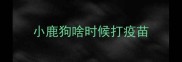 小鹿狗啥时候打疫苗