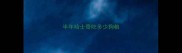 半年哈士奇吃多少狗粮