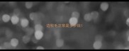 边牧毛正常是多少钱