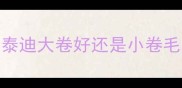 泰迪大卷好还是小卷毛