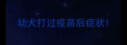 幼犬打过疫苗后症状
