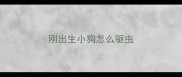 刚出生小狗怎么驱虫
